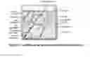 Fig. 19 - Ultrashort Pulse Laser Subsurface Tissue Modifications