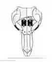 Fig. 01 - ABSORBABLE BONE ADHESIVE APPLICATOR