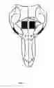 Fig. 04 - ABSORBABLE BONE ADHESIVE APPLICATOR