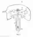 Fig. 03 - CIRCUMCISION CLAMP AND SURGICAL KIT