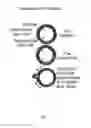 Fig. 04 - Treatment of sphincter dysfunction