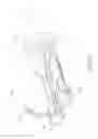 Fig. 06 - Laparoscopic suturing instrument with dual-action needle graspers