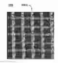 Fig. 01 - IMPLANTABLE SILK PROSTHETIC DEVICE AND USES THEREOF