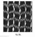Fig. 79 - IMPLANTABLE SILK PROSTHETIC DEVICE AND USES THEREOF