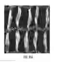 Fig. 97 - IMPLANTABLE SILK PROSTHETIC DEVICE AND USES THEREOF