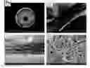 Fig. 03 - Methods for producing and using silk nanofiber nerve conduits