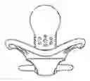 Fig. 01 - Pacifiers