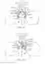 Fig. 16 - Sacral tether anchor and methods of use