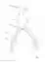 Fig. 03 - One-piece bifurcation graft