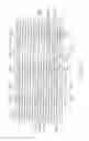 Fig. 07 - LONGITUDINALLY FLEXIBLE EXPANDABLE STENT
