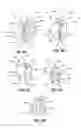 Fig. 05 - Soft tissue repair apparatus and method