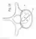 Fig. 08 - Interbody implant