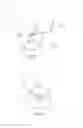 Fig. 05 - ESOPHAGEAL FLOW CONTROLLER
