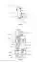 Fig. 03 - Prosthesis for a lower limb