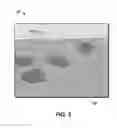 Fig. 03 - Method of using human physiological responses as inputs to hydrocarbon management decisions