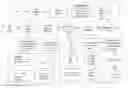Fig. 01 - Patient Controlled and Initiated Method and System for Physician Reporting of Patient Status