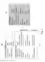 Fig. 06 - Order management system with a decomposition sequence