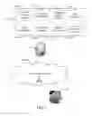 Fig. 02 - Integrated software network agent