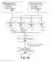 Fig. 50 - Order management system with technical decoupling