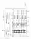 Fig. 16 - Document imaging and processing system for performing blind balancing and display conditions