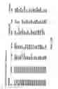 Fig. 43 - Selection of individuals from a pool of candidates in a competition system
