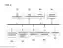 Fig. 03 - ADAPTIVE MULTIMEDIA PROCESSOR AND ADAPTIVE DATA PROCESSING METHOD