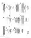 Fig. 07 - Normalizing data on database restore