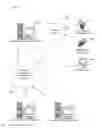 Fig. 01 - Time based ordering of provided mobile content