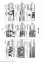 Fig. 09 - IMAGE DISPLAY DEVICE CONTROLLED RESPONSIVE TO SHARING BREADTH