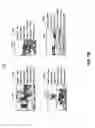 Fig. 10 - IMAGE DISPLAY DEVICE CONTROLLED RESPONSIVE TO SHARING BREADTH