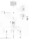 Fig. 04 - System and method to classify and apply behavioral stimuli potentials to data in real time