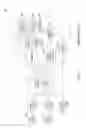Fig. 02 - Method and apparatus for mobile presence aggregation