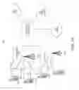 Fig. 02 - Application layer protocol support for sleeping nodes in constrained networks