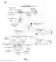 Fig. 02 - Identifying stray assets in a computing enviroment and responsively taking resolution actions