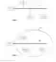 Fig. 04 - Use of information channels to provide communications in a virtual environment