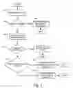 Fig. 02 - Inheritance of growth patterns for derived tables
