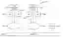 Fig. 01 - MULTILEVEL SECURITY SERVER FRAMEWORK