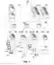 Fig. 02 - Dynamic fault detection and repair in a data communications mechanism
