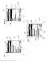 Fig. 04 - WORD COMPLETION DICTIONARY