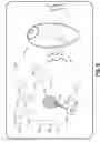 Fig. 09 - Accessing and interacting with information