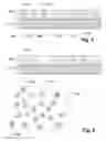 Fig. 06 - Access to an electronic object collection via a plurality of views