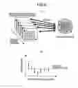 Fig. 07 - Estimating shape based on comparison between actual waveform and library in lithography process