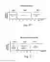 Fig. 21 - SYSTEM, METHOD, AND APPARATUS FOR DATA COGNITION INCORPORATING AUTONOMOUS SECURITY PROTECTION