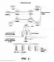 Fig. 03 - Architecture for network management in a multi-service network