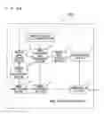 Fig. 10 - Image distribution apparatus