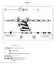 Fig. 07 - Genetically Modified Rat Models for Pain