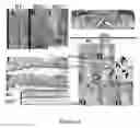 Fig. 03 - NON-SURGICAL APPROACH TO PREVENT AND CORRECT CRANIOFACIAL MALFORMATIONS DURING DEVELOPMENT