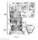 Fig. 08 - NON-SURGICAL APPROACH TO PREVENT AND CORRECT CRANIOFACIAL MALFORMATIONS DURING DEVELOPMENT