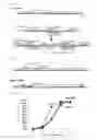 Fig. 02 - Vector utilizing borna disease virus and use thereof