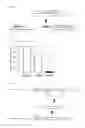 Fig. 11 - Vector utilizing borna disease virus and use thereof